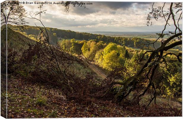  A View from Belvoir Ridge Canvas Print by Brian Garner