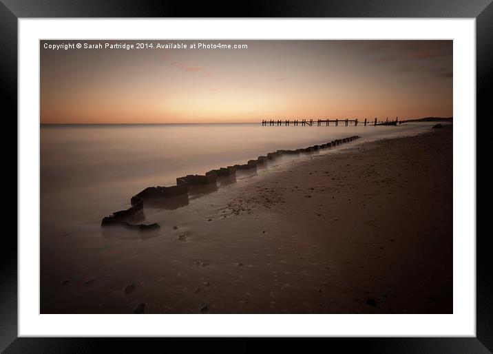 Twisted Beauty, Happisburgh Framed Mounted Print by Sarah Partridge