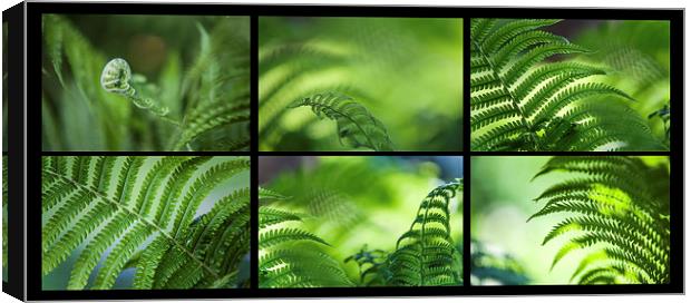 Green World. Polyptich for Interiors  Canvas Print by Jenny Rainbow