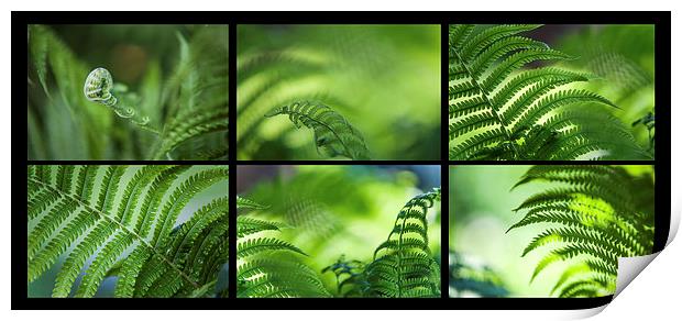  Green World. Polyptich for Interiors  Print by Jenny Rainbow