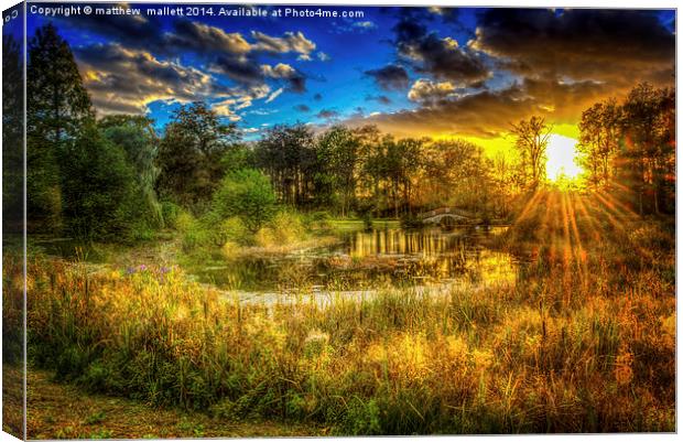  Magic of Sunset at Bramshill Canvas Print by matthew  mallett