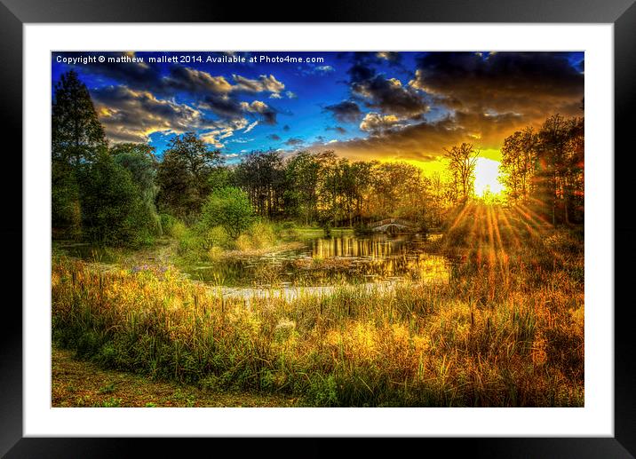  Magic of Sunset at Bramshill Framed Mounted Print by matthew  mallett