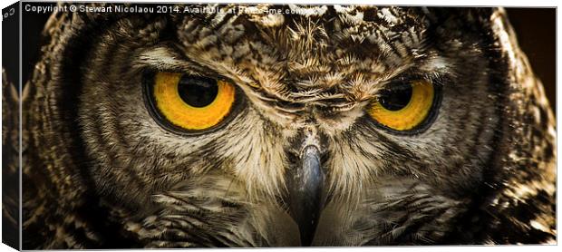 Eagle Owl Canvas Print by Stewart Nicolaou