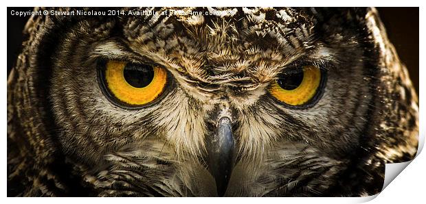 Eagle Owl Print by Stewart Nicolaou