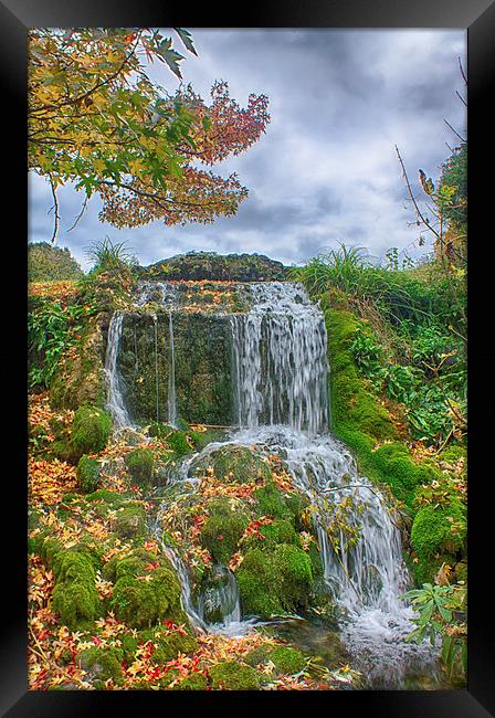  Waterfall at Little Bredy in Dorset.  Framed Print by Mark Godden