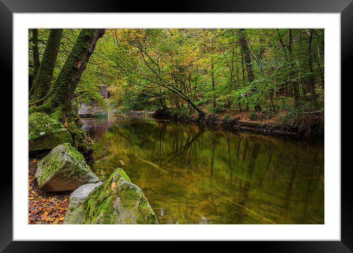  The River 2 Framed Mounted Print by David Martin