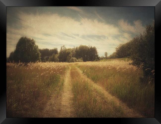 Across the meadow Framed Print by Piotr Tyminski