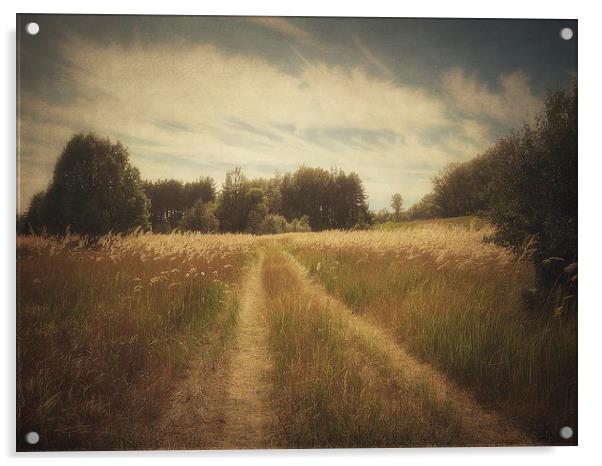Across the meadow Acrylic by Piotr Tyminski