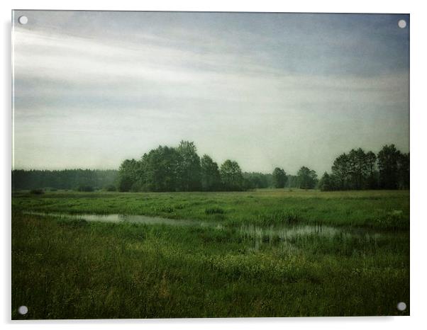 Krubin Meadows near Narew River, Poland Acrylic by Piotr Tyminski