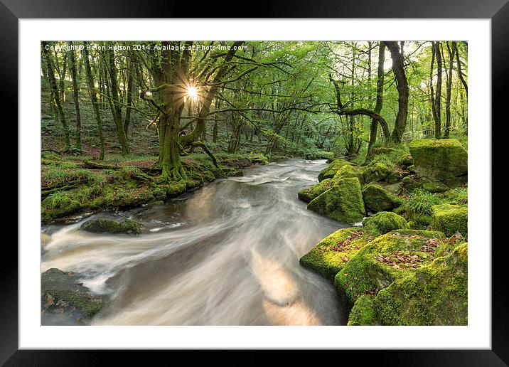 Magical Forest Framed Mounted Print by Helen Hotson