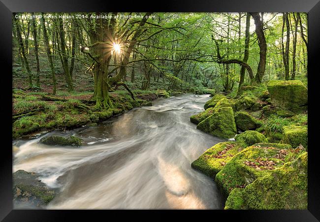 Magical Forest Framed Print by Helen Hotson