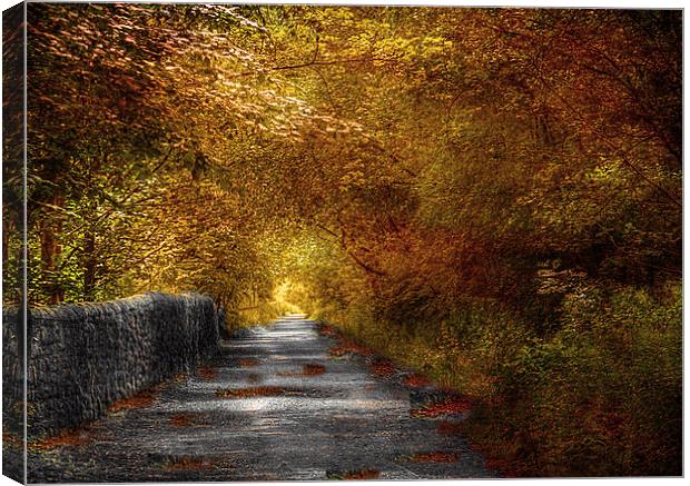  Priestly Clough  Canvas Print by Irene Burdell