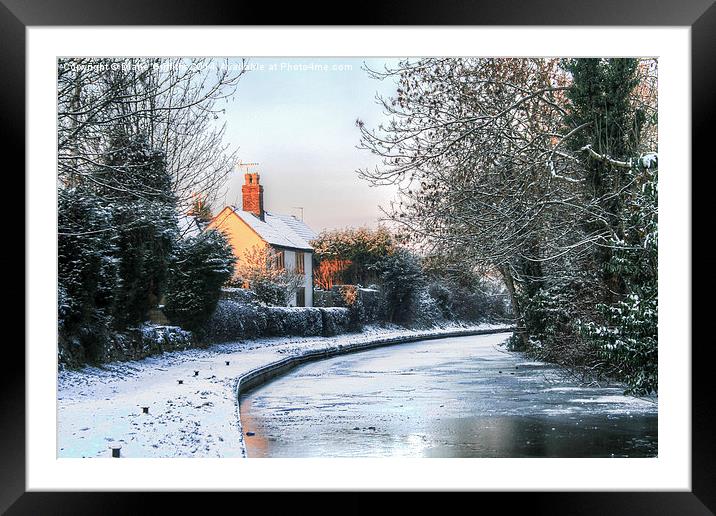 Snowy Penkridge Canal Framed Mounted Print by Diane Griffiths