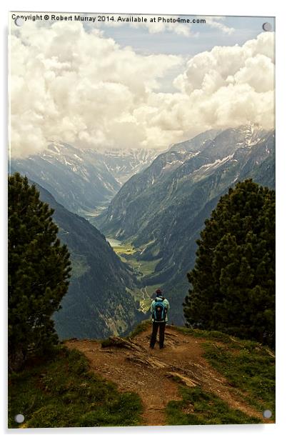  Alpine Viewpoint Acrylic by Robert Murray