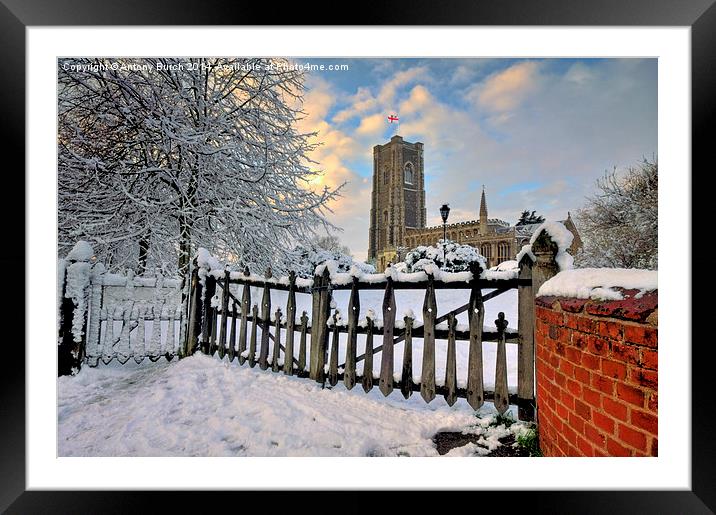  St Peter and St Pauls Lavenham Framed Mounted Print by Antony Burch