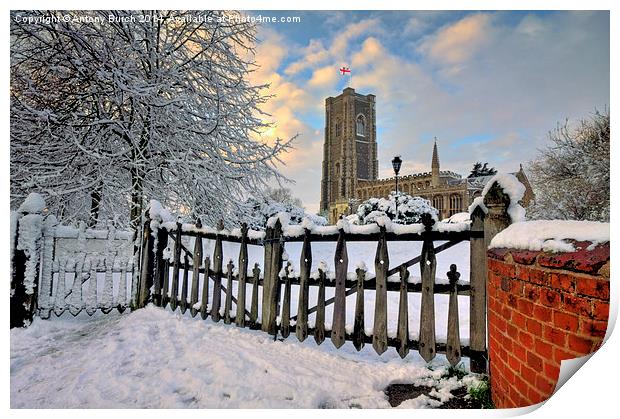  St Peter and St Pauls Lavenham Print by Antony Burch