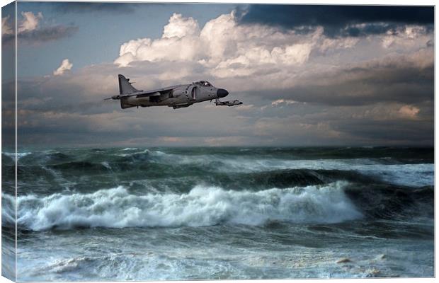 Sea Harriers  Canvas Print by J Biggadike