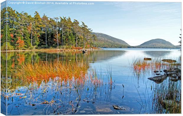  Autumn at Eagle Lake, Maine, America Canvas Print by David Birchall