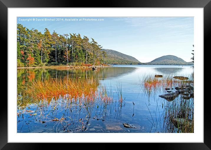  Autumn at Eagle Lake, Maine, America Framed Mounted Print by David Birchall