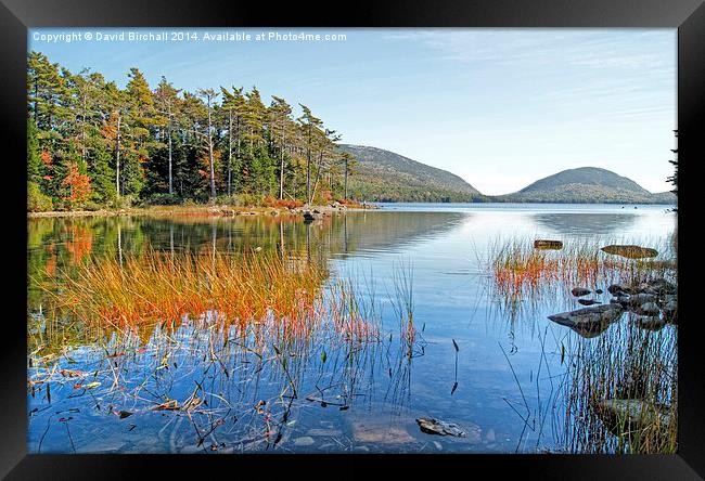  Autumn at Eagle Lake, Maine, America Framed Print by David Birchall