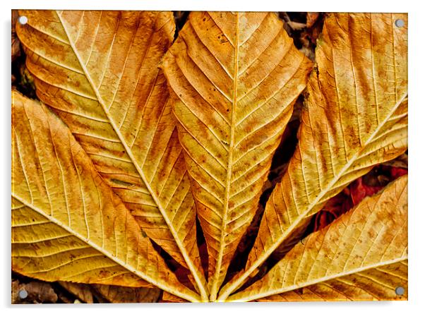  Autumn Leaf Acrylic by Tanya Hall