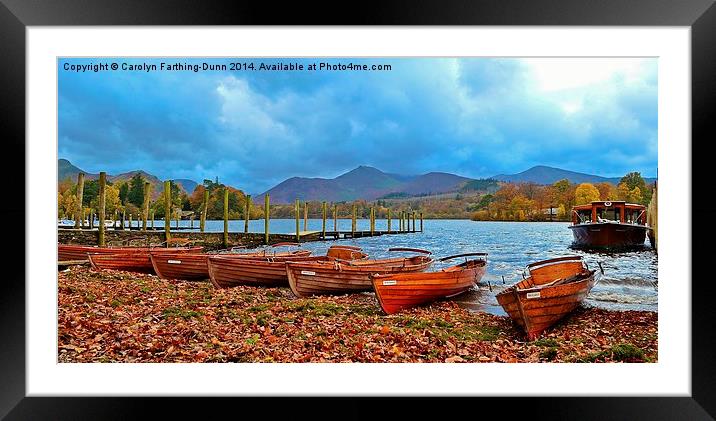 All in a row Framed Mounted Print by Carolyn Farthing-Dunn