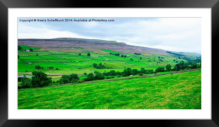  Swaledale with Heather in Bloom Framed Mounted Print by Gisela Scheffbuch