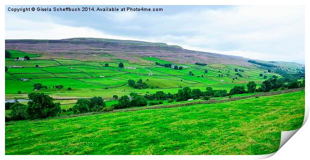  Swaledale with Heather in Bloom Print by Gisela Scheffbuch