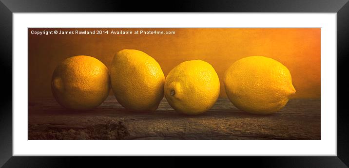  Four Lemons Framed Mounted Print by James Rowland