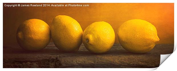  Four Lemons Print by James Rowland