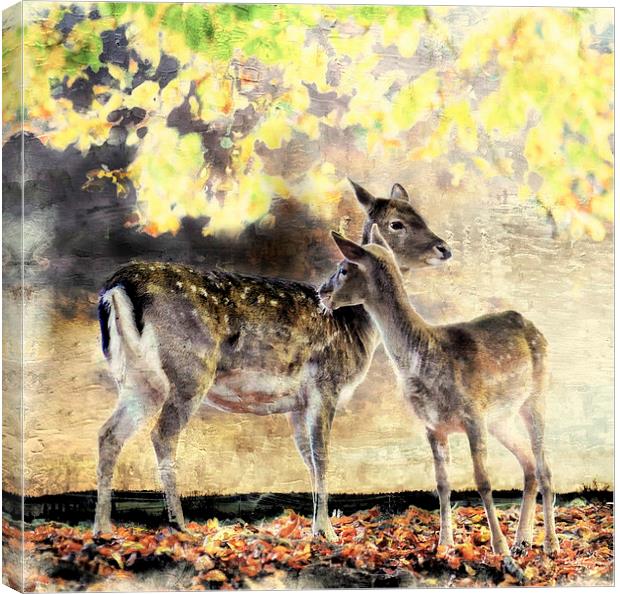  Mother and daughter Canvas Print by Alan Mattison
