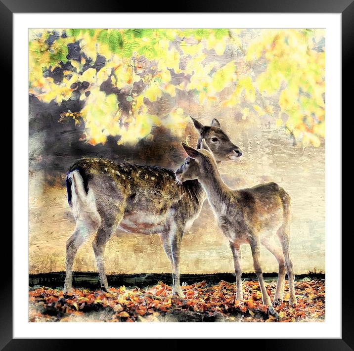  Mother and daughter Framed Mounted Print by Alan Mattison