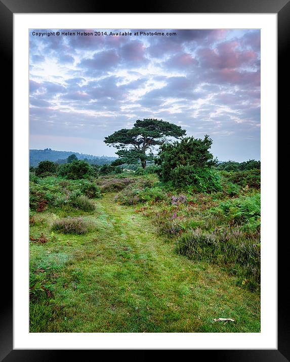 New Forest Dawn Framed Mounted Print by Helen Hotson