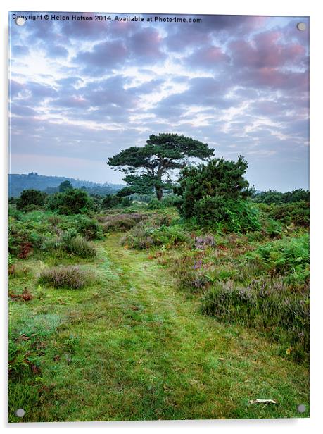 New Forest Dawn Acrylic by Helen Hotson