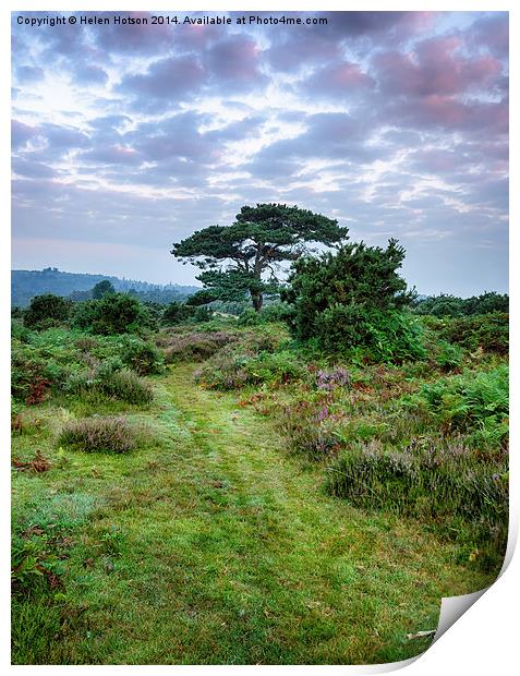 New Forest Dawn Print by Helen Hotson