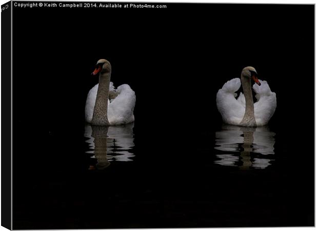  Swans in Lincoln Canvas Print by Keith Campbell