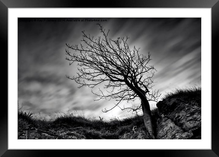  Tree at Marsden Quarry Framed Mounted Print by Ray Pritchard