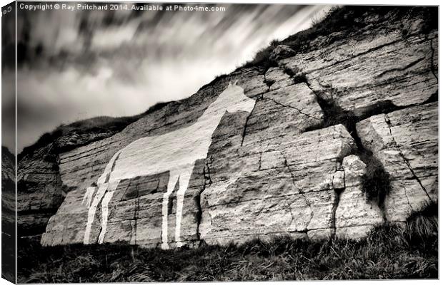  Marsden White Horse Canvas Print by Ray Pritchard