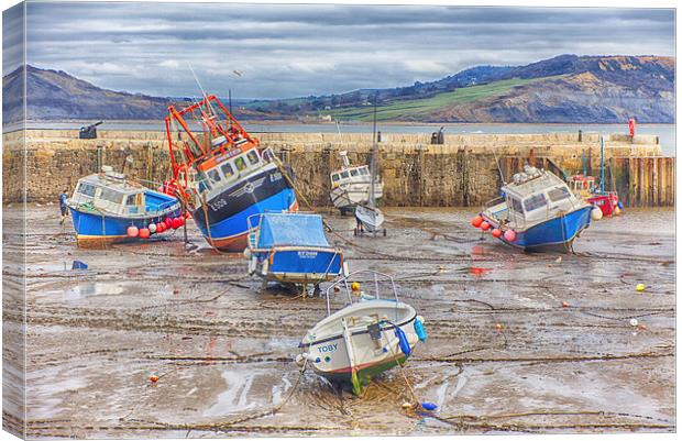  Low Tide. Canvas Print by Mark Godden