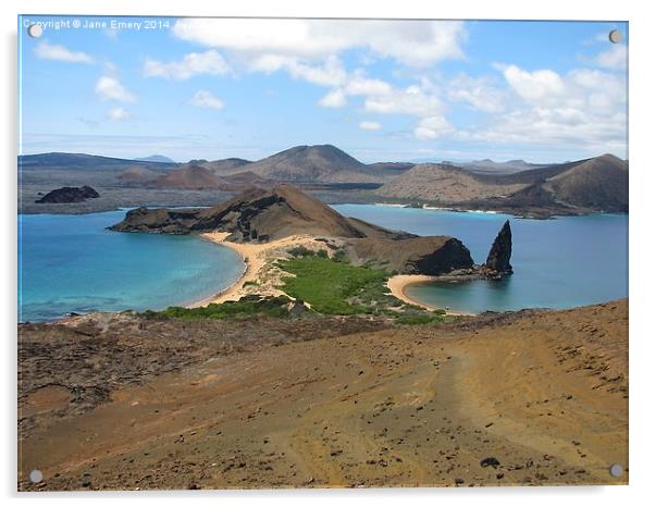  Galapagos Islands Acrylic by Jane Emery