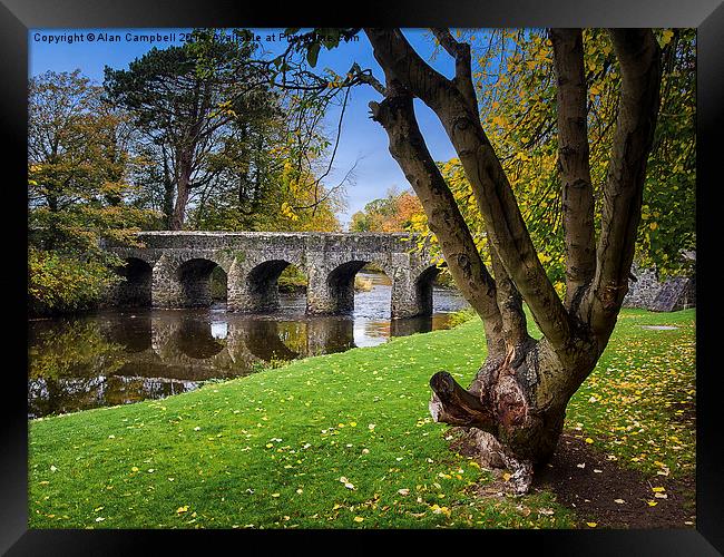  Autumn Colours at Antrim Castle Gardens Framed Print by Alan Campbell