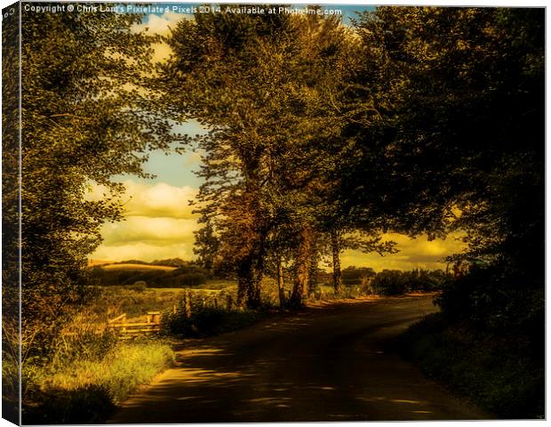  On The Road To Litlington Canvas Print by Chris Lord