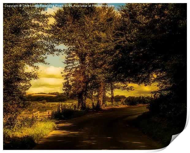  On The Road To Litlington Print by Chris Lord