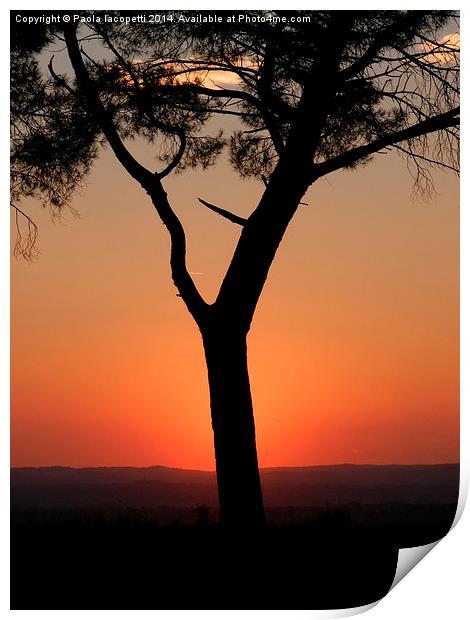  Sunset behind the pine tree Print by Paola Iacopetti
