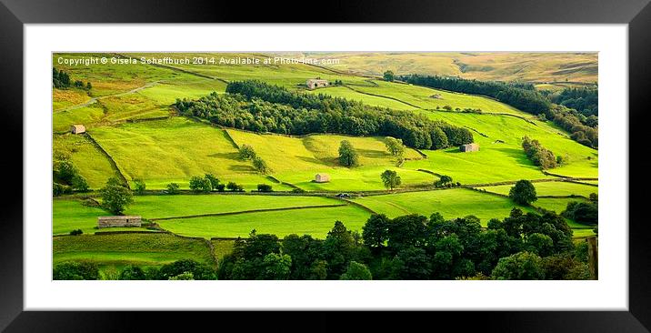  Evening Sun in Swaledale Framed Mounted Print by Gisela Scheffbuch