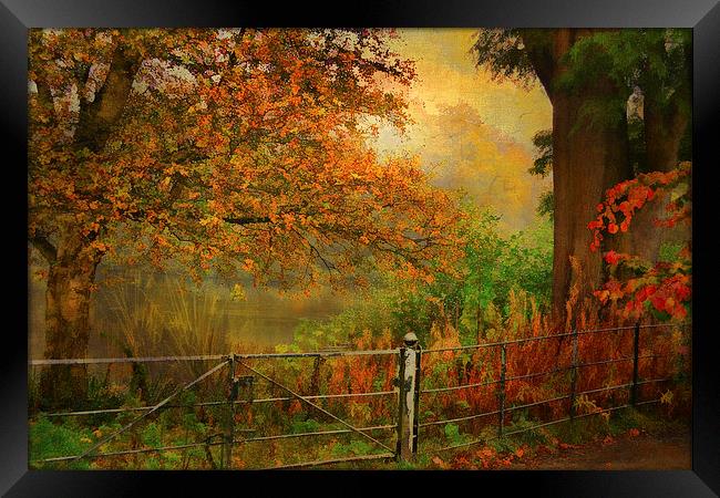  Autumn On My Mind  Framed Print by Heaven's Gift xxx68