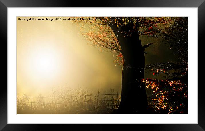  Autumn gold Framed Mounted Print by Heaven's Gift xxx68