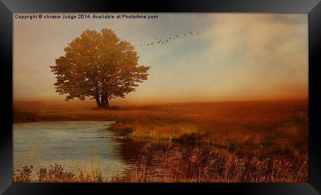  Peaceful Autumn  Framed Print by Heaven's Gift xxx68