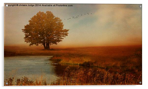 Peaceful Autumn  Acrylic by Heaven's Gift xxx68