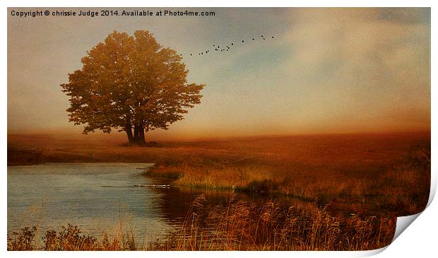  Peaceful Autumn  Print by Heaven's Gift xxx68